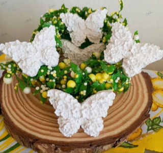 Květinoví motýlci 